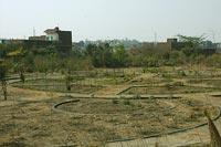 Yamuna Biodiversity Park, Delhi, Welcome Rock Facet