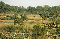 Yamuna Biodiversity Park, Delhi, Welcome Rock Facet